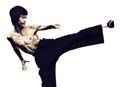 I Am Bruce Lee (2011)