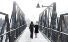 Stories We Tell (2012)