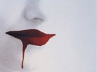 Dreaming With Your Eyes Open: Surrealism and the Czech New Wave